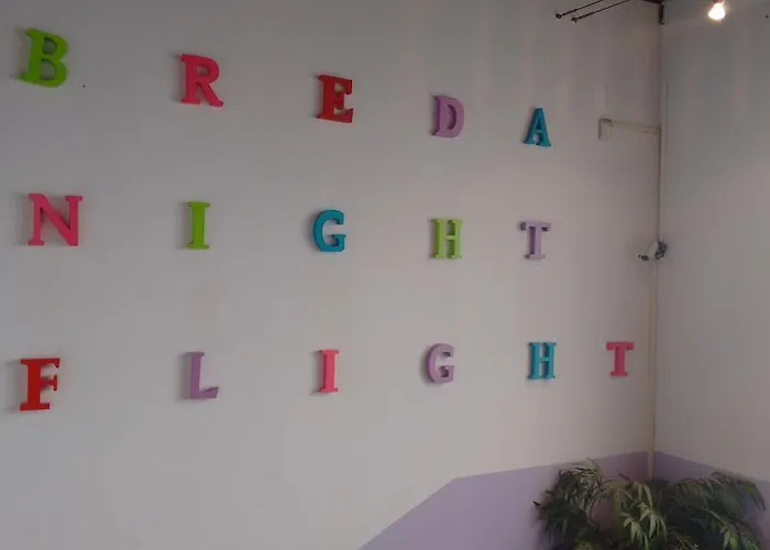 Auberge de jeunesse Nightflight